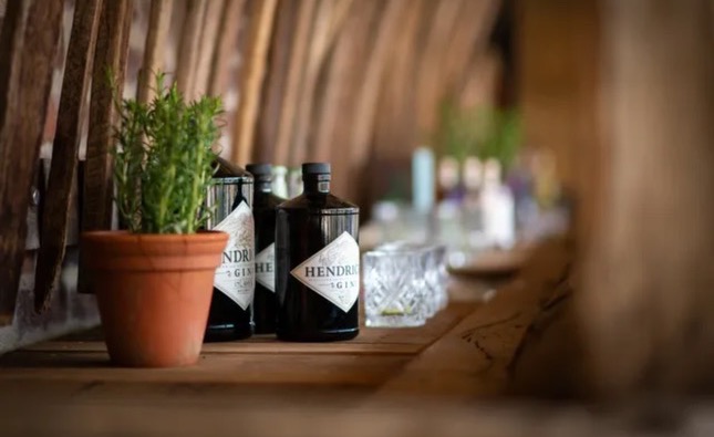 Hendrick's Gin bottles displayed on wooden shelf with fresh herbs and crystal glassware
